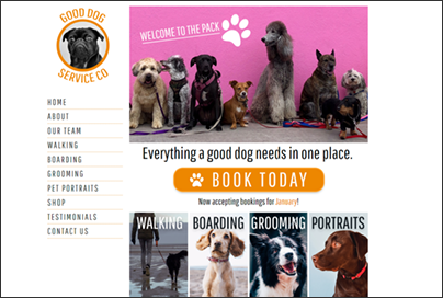 dog care sample website